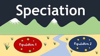 Speciation The Evolutionary Process  Basic Science Series [upl. by Doniv529]