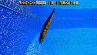 Megabass Vision 1101 Underwater [upl. by Un]