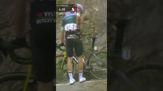 Wout van Aert Crashes Abandons Vuelta a España 2024 In Stage 16 [upl. by Obeng]