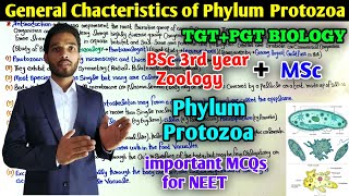 General Characteristics of Phylum Protozoa  BSc 3rd year Zoology  MSc  PGT Exam Preparation [upl. by Gniw]