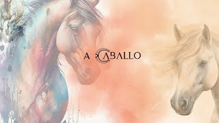 Caballos Llargues Sicab 2024 Jornadas puertas abiertas del 19 al 24 de Noviembre [upl. by Weirick827]