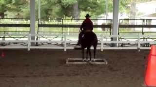 Appaloosa Horse show Event  Part15 [upl. by Akenihs685]