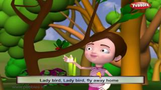 Lady Bird  Nursery Rhymes With Lyrics  Nursery Poems  3D Nursery Rhymes For Children [upl. by Iphagenia]