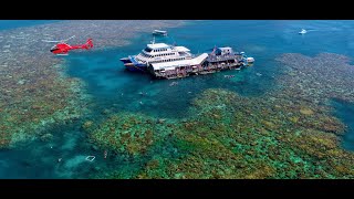 SUNLOVER GREAT BARRIER REEF  CAIRNS [upl. by Ruhtracam]