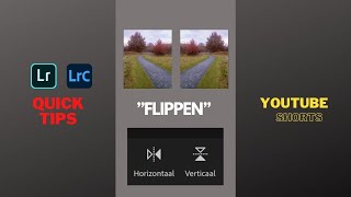 Lightroom Quick Tip “DRAAIEN” horizontaal of verticaal draaien LR “QuTies”  shorts [upl. by Marilee]