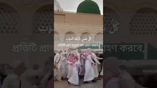 surahankabut quran tilawat amazingrecitation viralshorts shorts shortsfeed [upl. by Yentuoc305]