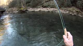 UPPER NANTAHALA RIVER FLY FISHING BROWN TROUT [upl. by Ada]