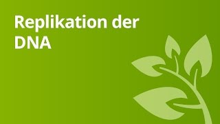 Ablauf der Replikation der DNA  Biologie  Genetik [upl. by Sosthina]