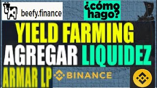 🚀FARMEANDO en BEEFY FINANCE  Como AGREGAR Liquidez  Como CREAR LP TOKEN en la BINANCE SMART CHAIN🚀 [upl. by Jarrell872]