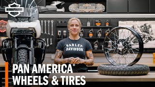 HarleyDavidson Pan America Wheels amp Tires Overview [upl. by Lotsyrc]