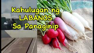 KAHULUGAN NG LABANOS SA PANAGINIP [upl. by Redvers113]