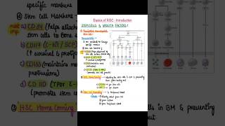 ➡️Stem Cell➡️Growth Factors ➡️ Erythroid Series bhfyp mbbs anatomy Microbiology ytshort yt [upl. by Neleag638]