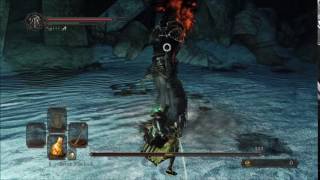 Dark Souls 2 Hitbox  Fume Knight [upl. by Ennovi]