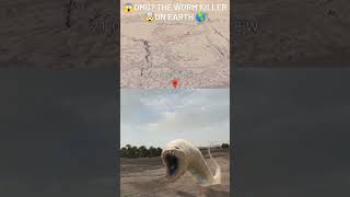 😱OMGthe worm killer I Found on google earth andgoogle maps 🌎shorts earth video mapsecret viral [upl. by Laban]