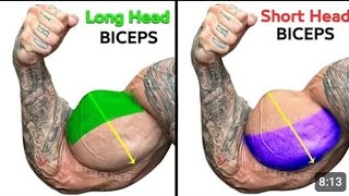 Full Biceps Curls  short Head  Long Head  Brachialis [upl. by Marala]