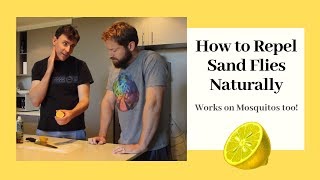 How to Repel Sand Flies  Natural Sandfly amp NoSeeUm Repellent [upl. by Kant]