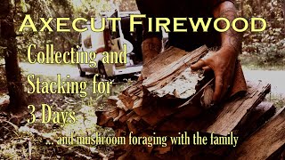 Stacking firewood for Axe Cordwood Challenge Prototype firewood carrier Family picking mushrooms [upl. by Downs]