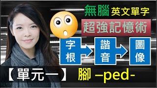 單元一 【腳】ped  最容易懂的字根教學  連結圖片影像讓你輕鬆背單字  多益 托福 學測 指考單字  英文單字三十六記 [upl. by Han172]