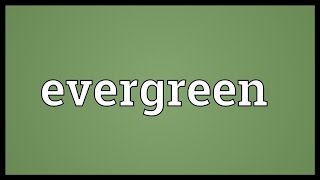 Evergreen Meaning [upl. by Travis328]