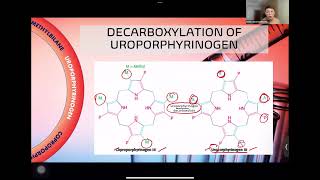 2023 Porphyrins RBC and Respiration [upl. by Henarat439]