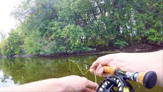 Fly Fishing TRICKY Carp In Shallow Cover [upl. by Eizzil780]