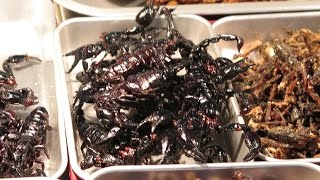 Eating Scorpions and Cockroaches Bangkok Street Food Thailand [upl. by Beker650]