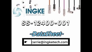 SS12400001 DataSheet  ingketechnet [upl. by Trinette]