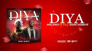 Malakey feat Sidiki Diabaté  Diya Son Officiel [upl. by Alehs243]