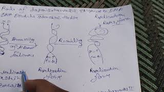 Role of topoisomerase enzyme in DNA Replication [upl. by Elwood421]