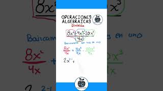 Polinomio entre monomio matemáticas álgebra polinomios potencias raíces división prepa [upl. by Asilem]