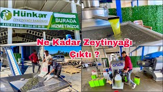 243 Kilo Zeytinden Bakın Kaç Kilo Zeytinyağı Çıktı  Osmaniye Sumbas [upl. by Aicemak]