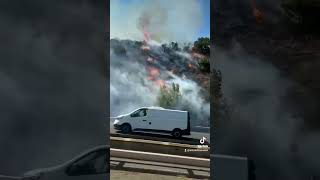 🔥 Dans le Var un incendie est en cours sur la commune de Fréjus 📅 date  25072024 [upl. by Imuy702]