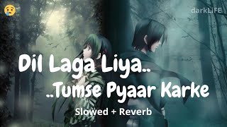 Dil Laga Liya   Slowed  Reverb  Alka Yagnik  Udit Narayan  Dil Hai Tumhaara  darkLiFE [upl. by Sletten494]