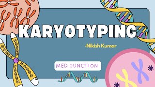 KARYOTYPING GENETICS1113 [upl. by Deeanne]