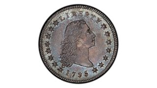 Spectacular 1795 Silver Plug Flowing Hair Dollar  The D Brent Pogue Collection II [upl. by Alburg]