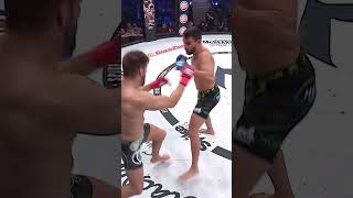 The Bellator 288 Main Card Top Finishes [upl. by Borroff695]