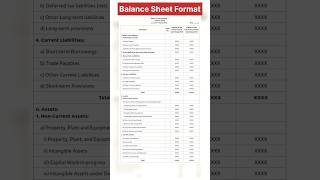 Balance Sheet Format [upl. by Binny]