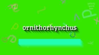 ORNITHORHYNCHUS  HOW TO SAY ORNITHORHYNCHUS ornithorhynchus [upl. by Attikram]