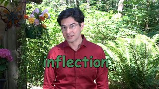 Inflection In English Language and Grammar  A Quick and Cozy Introduction [upl. by Iatnahs265]