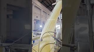 This machine can produce 300KG of pasta per hour glassnoodleproductionline noodlemachine food [upl. by Eadnus645]