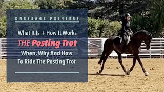 THE POSTING TROT When Why And How To Ride The Posting Trot [upl. by Swen659]