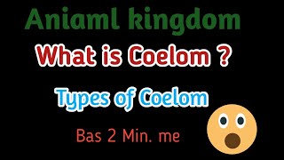 Animal kingdom Coelom NEET AIIMS [upl. by Odey937]