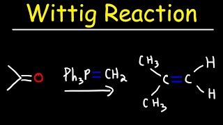 Wittig Reaction Mechanism [upl. by Cris492]