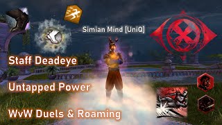 Simian Mind UniQ  Staff Deadeye  Untapped Power  WvW DuelsRoaming [upl. by Ahsuas106]