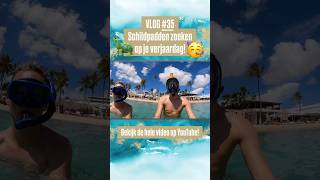 VLOG 35 🌴 Vakantie Curaçao Deel 3 🦩 Schildpadden zoeken en een flamingo bij het resort 🐢 [upl. by Tol]