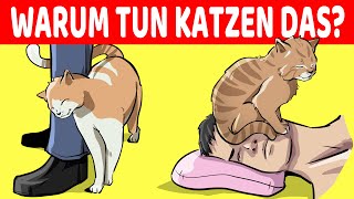 15 Seltsame Verhaltensweisen Von Katzen Endlich Erklärt [upl. by Danielson]