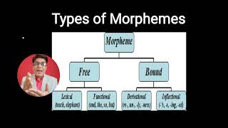 Morpheme Definition Examples Types Morpheme and Morphology Free and Bound Morphemes Define Morph [upl. by Lupien]