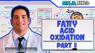 Metabolism  Fatty Acid Oxidation Part 2 [upl. by Osman465]