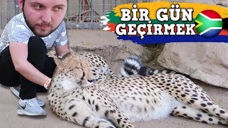 GÜNEY AFRİKADA BİR GÜN GEÇİRMEK [upl. by Hak104]