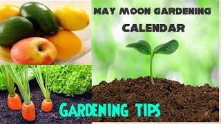 May Moon Gardening Guide [upl. by Netsew]